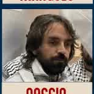 Cássio Pelegrini