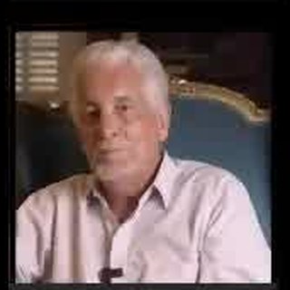 Henrique Pizzolato